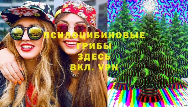 apvp Балахна