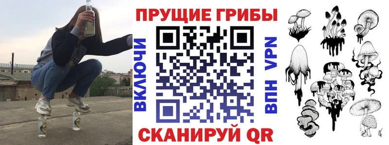 дарк нет Telegram  наркота  Лениногорск  Псилоцибиновые грибы ЛСД 